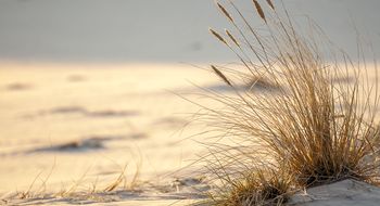 Kurzurlaub an der Ostsee